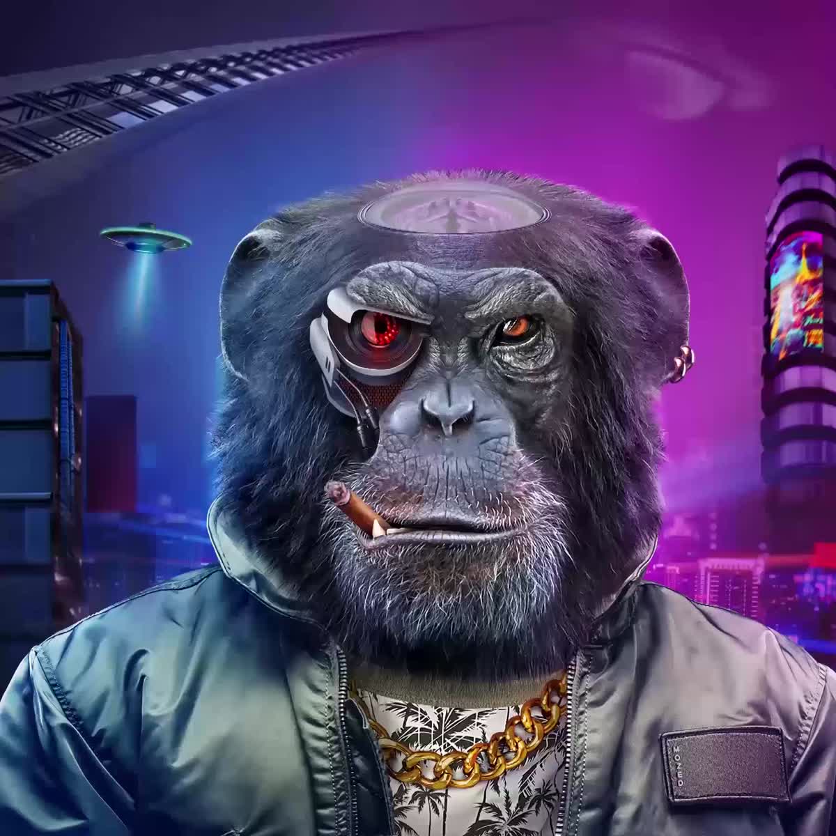 speedsleev smuggler