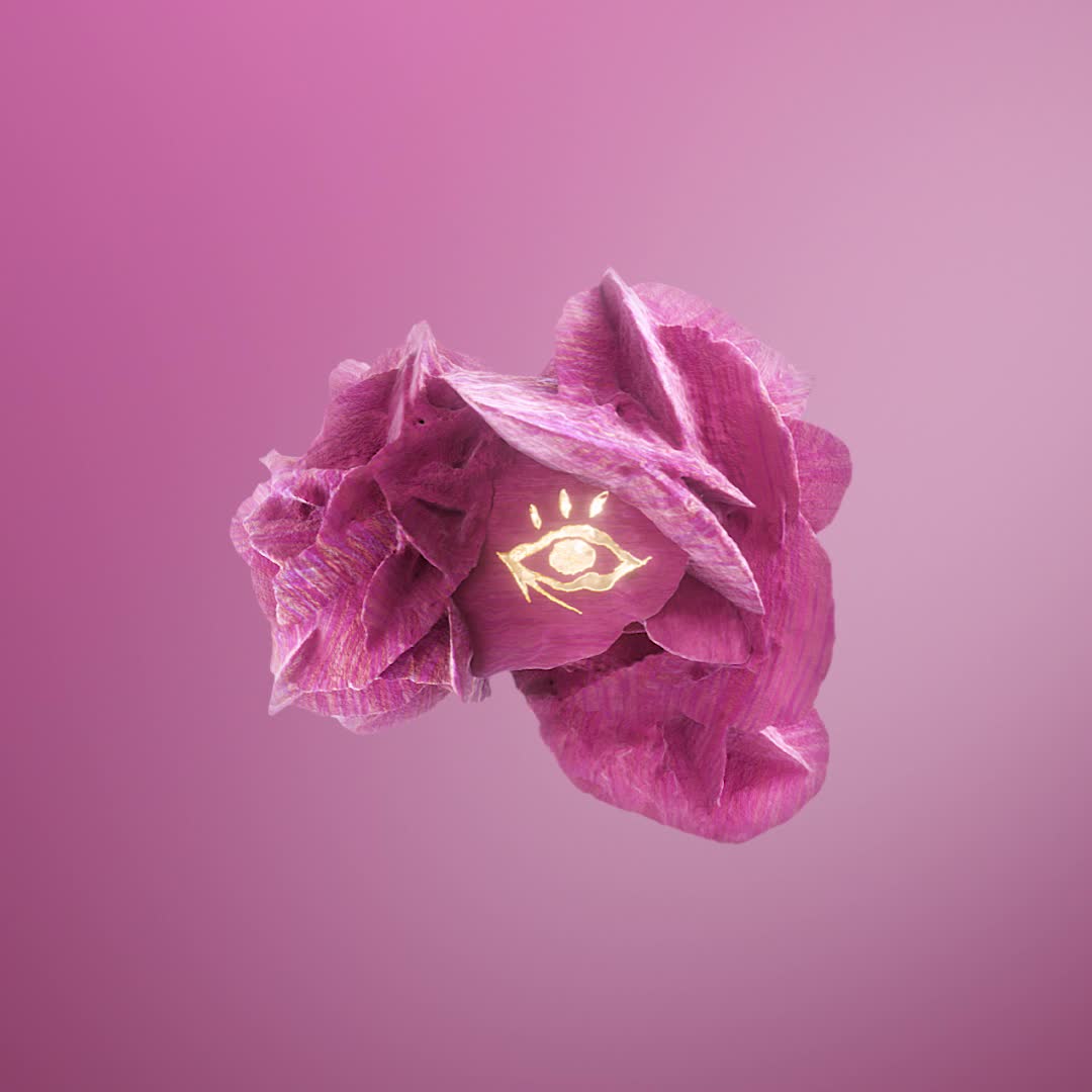 22 LA MANIA Foundation