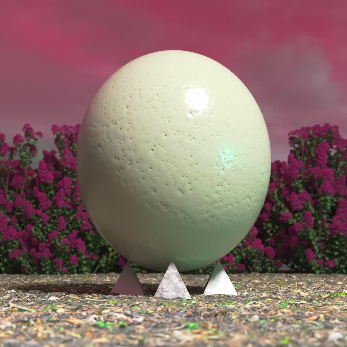 Birth of Venus Foundation