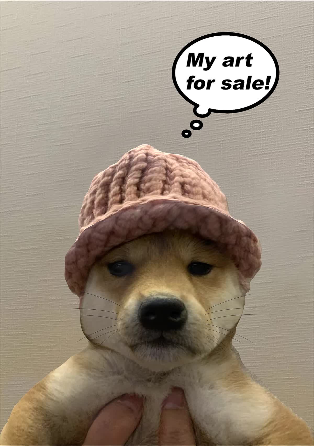 Achi, the dog wif hat - In a dream auction! | Foundation