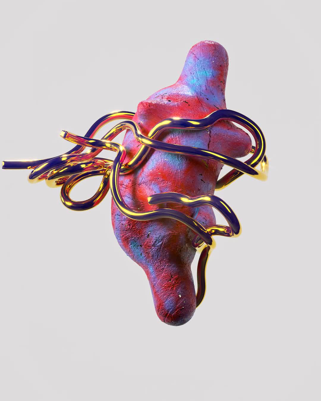 Dragon Ropes Foundation