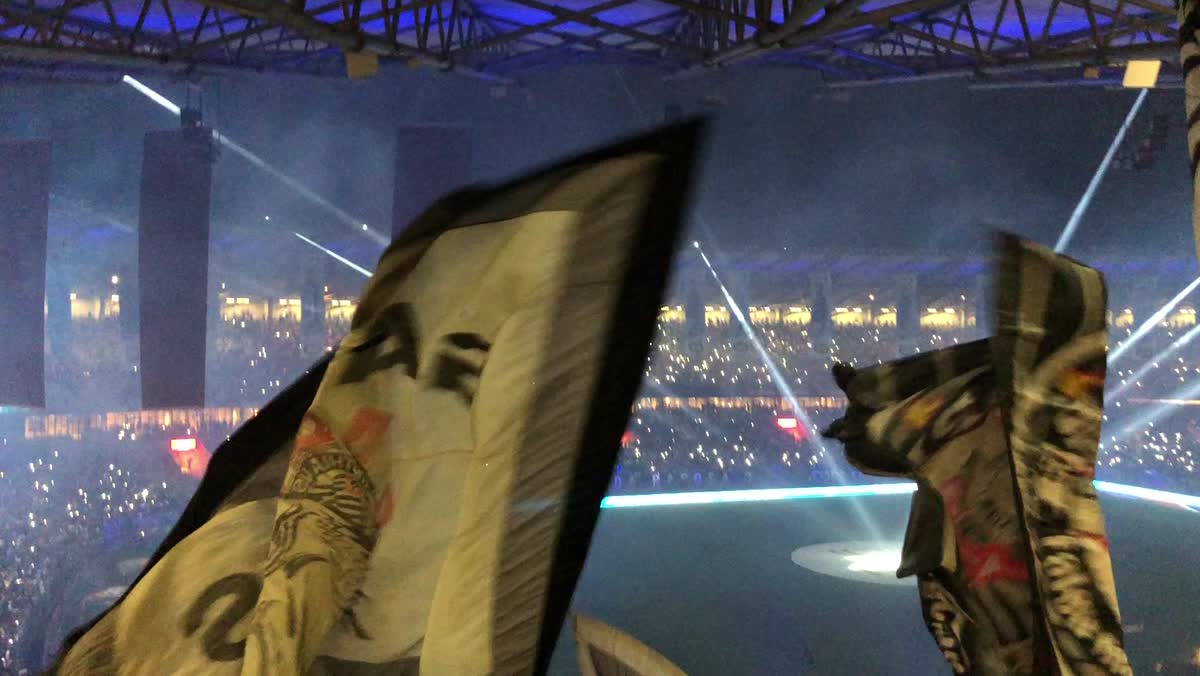 ELECTRIC FLAGS Foundation