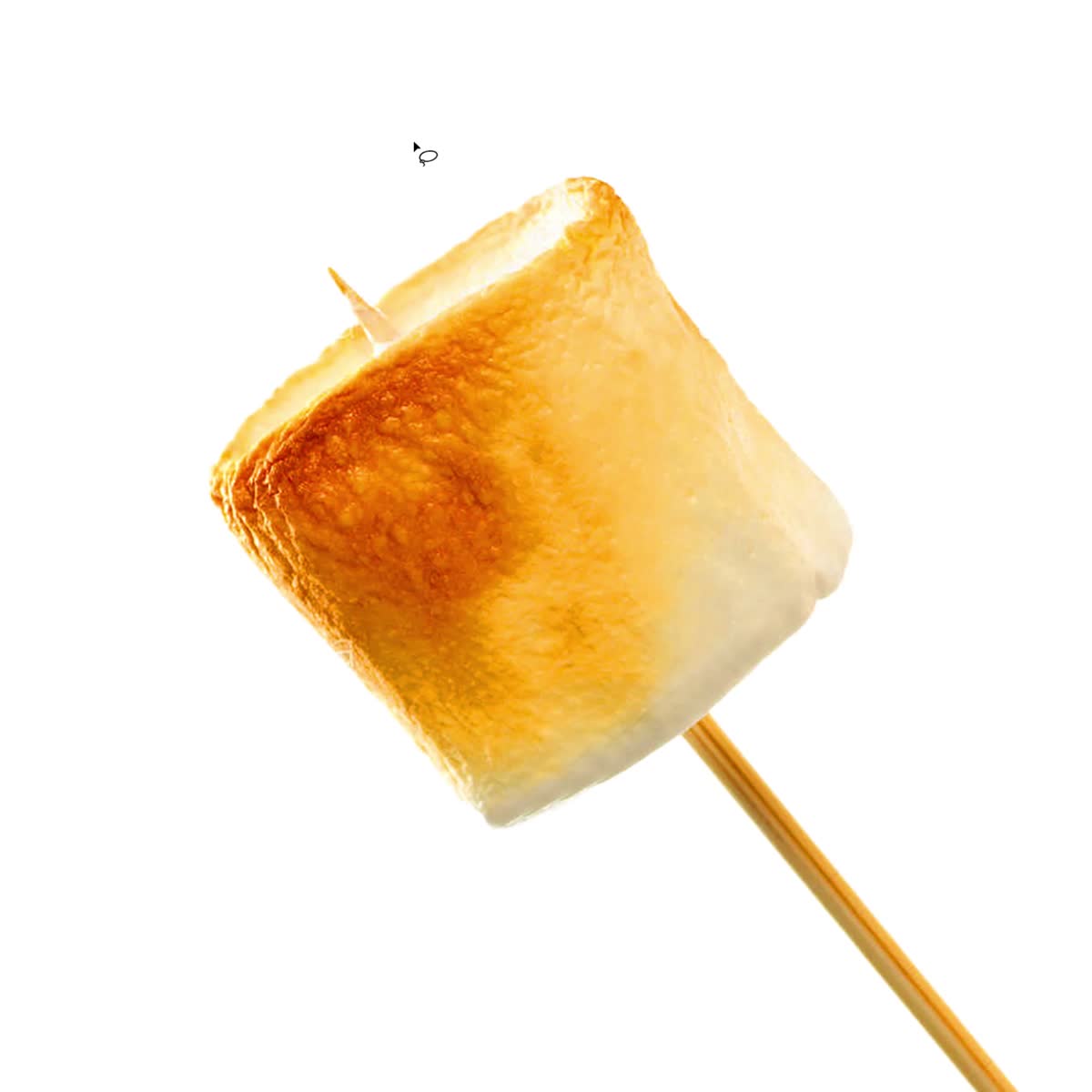 Dog Food 3 Marshmallow Foundation