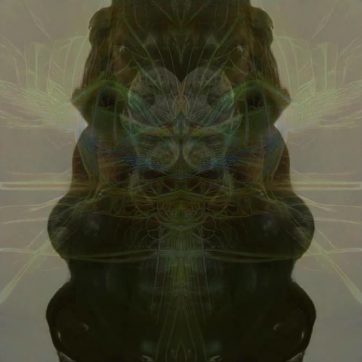 QUALIA The Rise Of Artificial Consciousness Foundation